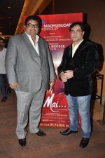 at Mai Music launch in Grand Haytt, Mumbai on 22nd Jan 2013 (42).JPG